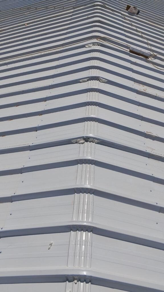 هناجر ساندوتش بانل